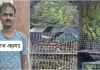 एसटीएफ का बड़ा एक्शन: 580 दुर्लभ पक्षियों के साथ अंतरराज्यीय वन्यजीव तस्कर गिरफ्तार, कई राज्यों तक फैला था नेटवर्क