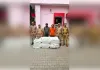कानपुर में नकली सिगरेट का बड़ा भंडाफोड़, 6,000 डिब्बियां बरामद; सगे भाई गिरफ्तार