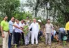 बजाज चीनी मिल रुधौली के द्वारा गेट से लेकर केंद्र तक चलाया गया वृहद वृक्षारोपण अभियान