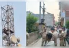 दिव्यांग छात्रा ने सहपाठी पर दुष्कर्म का लगाया आरोप, कार्रवाई न होने पर टावर चढ़ी