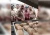  उड़ीसा से चंदौली जा रहा तीस लाख का गांजा वाराणसी में जब्त, दो गिरफ्तार