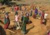 मध्य प्रदेश: शुरू हुआ 'वीबी जी-राम' मिशन, ग्रामीण रोजगार और आजीविका को मिलेगी नई रफ्तार