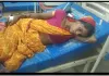 फर्रुखाबाद,जिले में अलग अलग स्थानों पर तीन को सर्प ने डसा, हालत गम्भीर,लोहिया अस्पताल में भर्ती