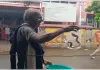 सांप ने काटा तो घायल युवक के साथ सांप को भी अस्पताल लेकर पहुंचे ग्रामीण, सब हैरान