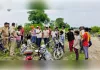 शादी में शामिल होने निकली महिला को मगरमच्छ ने बनाया निवाला, नदी किनारे मिला शव