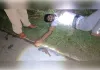पुलिस मुठभेड़ में  50 हजार का इनामी बदमाश समेत तीन घायल; 11 लाख नकदी बरामद