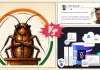 ‘कॉकरोच जनता पार्टी से मेरा कोई लेना-देना नहीं’, CockroachDB कर्मचारी ने कहा