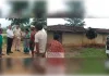 महुआ शराब की गंध ने हाथी को बस्ती में खींचा! घर में मचाई तबाही; बुजुर्ग की ली जान