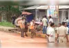 गोसाईगंज में टला हादसा, अनियन्त्रित ट्रैलर ट्रैक्टर को टक्कर मारके दुकान में घुसा 