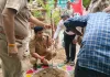पुलिस अधीक्षक संतकबीरनगर द्वारा फलदार एवं छायादार पौधों का रोपण किया गया 