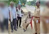एसपी के निर्देश पर 153 वरिष्ठ नागरिकों के घर पहुंचकर सुनी समस्याएं, मौके पर किया समाधान