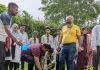 शिखर इंस्टीट्यूट ऑफ फार्मेसी में वृक्षारोपण महाअभियान 