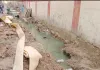 संचारी रोग अभियान पर नाले का 'गंदा सच'! बरसात में खोदा नाला बना मुसीबत,थरबरनगंज में जलभराव और बदबू से जनता बेहाल