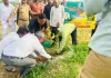 डीएम द्वारा पं० दीन दयाल उपाध्याय किसान समृद्धि योजनान्र्तगत कराये गये भूमि संरक्षण कार्यों का निरीक्षण किया गया,