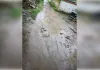 डेढ़ दर्जन गांवों की जीवनरेखा बनी बदहाल सड़क, बरसात में आवागमन ठप