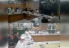 कांवड़ियों का मार्ग हो सुगम, किसी भी श्रद्धालु को न हो परेशानी: अंशिका दीक्षित