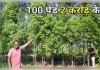 कहां-कहां की जाती हैं चंदन की खेती?