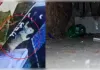  चूहों के  बिल से निकाली गईं 10 अंगूठियां और 2 हार