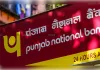 पीएनबी का शुद्ध मुनाफा 3 गुना बढ़ा