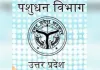 शासन का बड़ा एक्शन: पशुपालन विभाग के अपर निदेशक डॉ. अनिल कुमार निलंबित