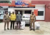 नकली दवाओं का भंडाफोड़, नामी ब्रांड्स के नाम पर खेल, 2157 बोतलें जब्त