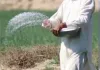 गोंडा में यूरिया को लेकर अफवाह, कृषि विभाग बोला- स्टॉक पर्याप्त- लाइन न लगाएं किसान