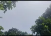 पश्चिम बंगाल में बदला मौसम, कई जिलों में बारिश का अनुमान