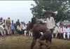 नागपंचमी पर दंगल में पहलवानों ने आजमांए दांव, ग्रामीणों ने लिया आनंद 