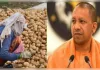 आलू किसानों के लिए यूपी सरकार ने लॉन्च किया नया पोर्टल