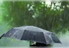 MP में स्ट्रॉन्ग मानसून सिस्टम एक्टिव, 12 जिलों में भारी बारिश का अलर्ट