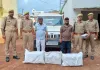 चोरी की बोलेरो की छत में बना रखा था ‘गांजे का तहखाना’