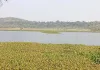  मप्र के विदिशा जिले का कागपुर क्षेत्र पक्षी कंजर्वेशन रिजर्व घोषित