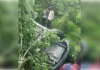 एनएच-730 पर भीषण हादसा, बाइक सवार दो युवकों की मौत