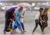 मध्य प्रदेश में फिर सक्रिय मानसून, 3 जिलों में भारी बारिश का अलर्ट