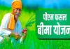  संत कबीर नगर में प्रधानमंत्री फसल बीमा योजना संचालित