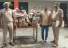 लखनऊ में नकली अंग्रेजी शराब का बड़ा खेल पकड़ा गया