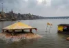 प्रयागराज में तेजी से बढ़ा गंगा-यमुना का जलस्तर, अलर्ट जारी 