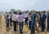 वेलनेस सिटी में किसानों को तोहफा : ग्रीन कॉरिडोर के पास मिलेंगे भूखण्ड
