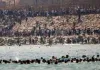 स्पेन-मोरक्को सीमा पर बड़ा प्रवासी संकट: सियुटा में घुसने की कोशिश में 57 की मौत