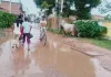 जल  निकासी की समस्या से निजात नही, बने हुए नाले बने शो पीस