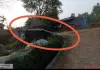 सरकार के उजाले के दावों पर बिजली संकट का अंधेरा भारी, दो महीने से नहीं बदला बिजली का पोल
