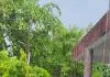 कलेक्ट्रेट में शान से लहराया तिरंगा, डीएम ने स्वतंत्रता सेनानियों के बलिदान को किया नमन
