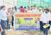 गाजर घास मानव स्वास्थ्य, फसलों और पर्यावरण के लिए गंभीर खतरा