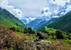 उत्तराखंड में फूलों की घाटी घूमने का सबसे अच्छा समय क्या है? 