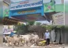 नगर पालिका की लापरवाही उजागर: कूड़ा उठाकर सड़कों पर डाल रहे वाहन