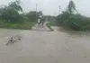 मानसून की भारी बारिश के दृष्टिगत स्वास्थ्य विभाग अलर्ट मोड पर