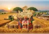 खाद्यान्न उत्पादन में सबसे आगे बढ़ा मप्र,'फूड बास्केट' का मिला दर्जा