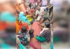 छपरा में दर्दनाक हादसा, कचरा वाहन ने ली बुजुर्ग की जान 