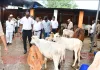 गाय के बच्चो को बारिश में भीगता देख जिलाधिकारी ने गौशाला में मौजूद स्टाफ को लगाई कड़ी फटकार