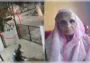 बुजुर्ग महिला को बंदर ने धक्का मारा और हो गई मौत